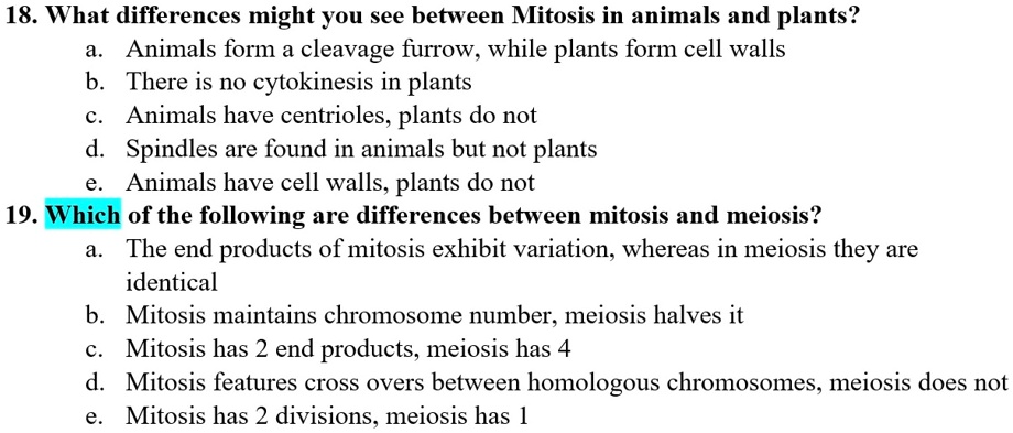 SOLVED: 18. What differences might you see between Mitosis in animals ...