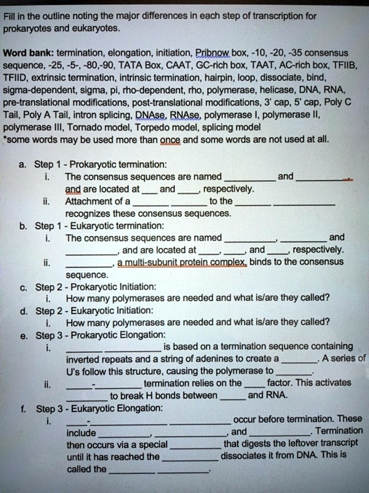 fill in the outline noting the major differences in each step of transcription for prokaryotes and eukaryotes word bank termination elongation initiation pribnow box 10 20 35 consensus seque 64912