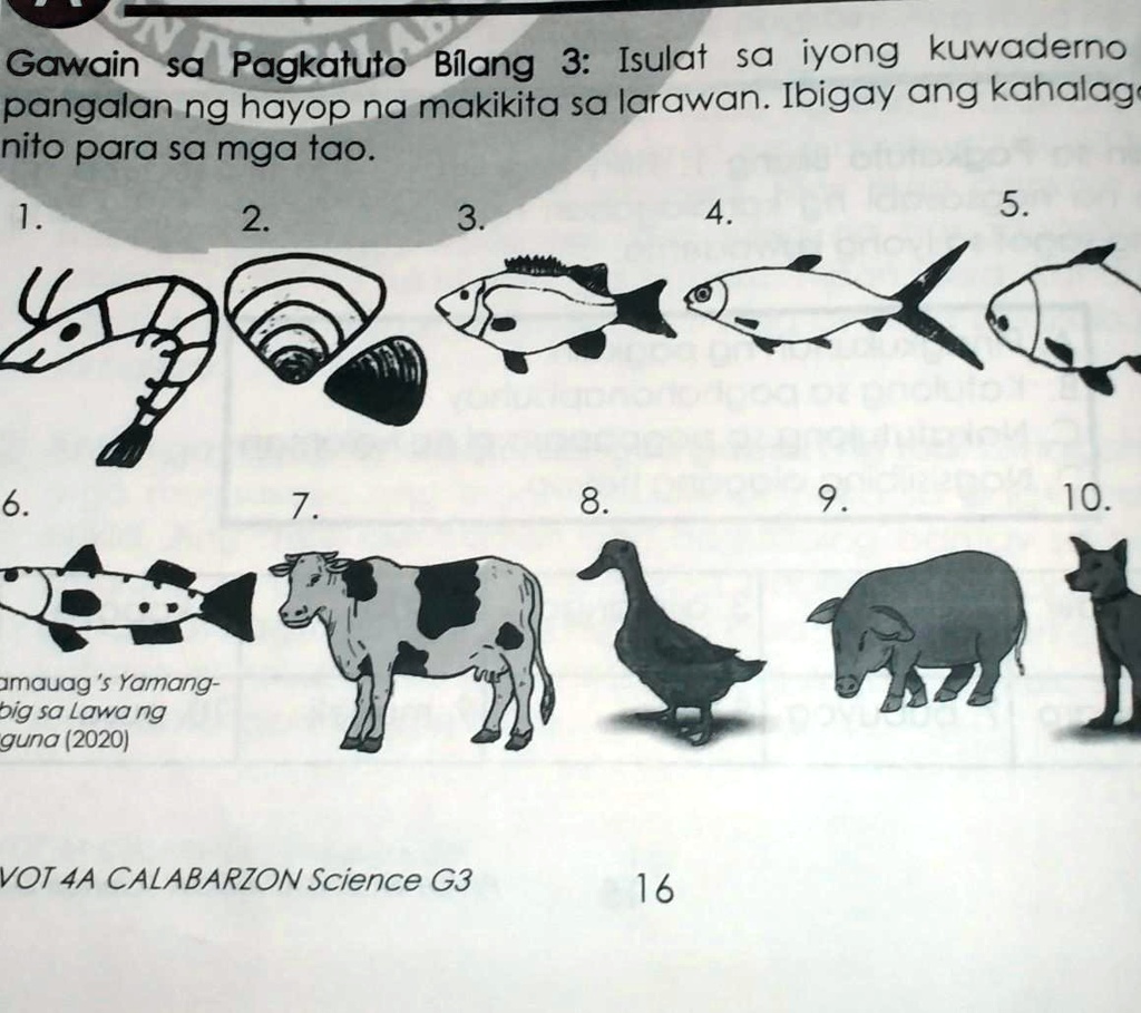 Solved Agawain Sa Pagkatuto Bilang 3 Isulat Sa Iyong Kuwaderno Angpangalan Ng Hayop Na 3798