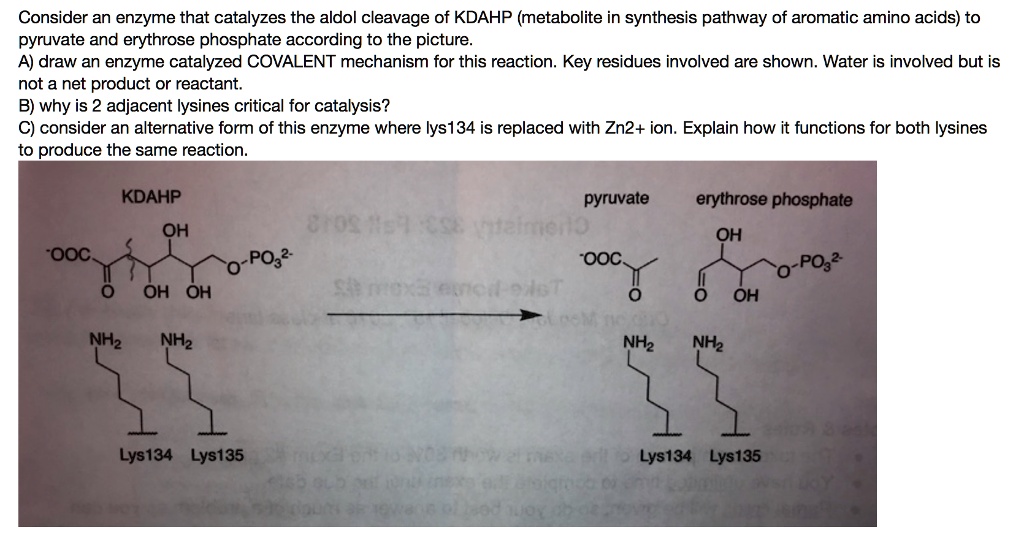 SOLVED Consider an enzyme that catalyzes the aldol cleavage of KDAHP