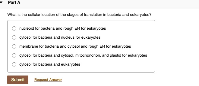 Part A
What is the cellular location of the stages of translation in bacteria and eukaryotes?
nucleoid for bacteria and rough ER for eukaryotes
cytosol for bacteria and nucleus for eukaryotes
membrane for bacteria and cytosol and rough ER for eukaryotes
cytosol for bacteria and cytosol, mitochondrion, and plastid for eukaryotes
cytosol for bacteria and eukaryotes