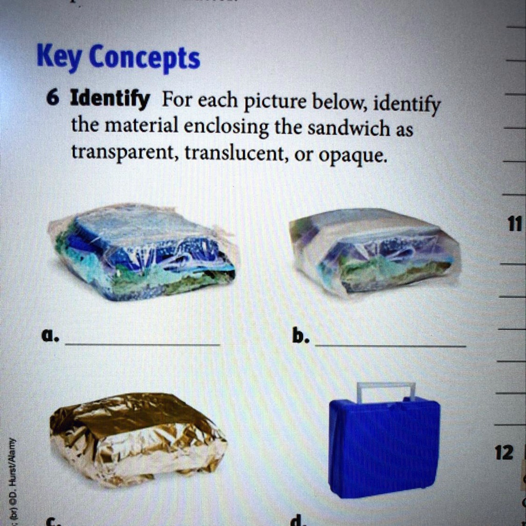 SOLVED 'HELP PLEASE which material in the picture above reflects the