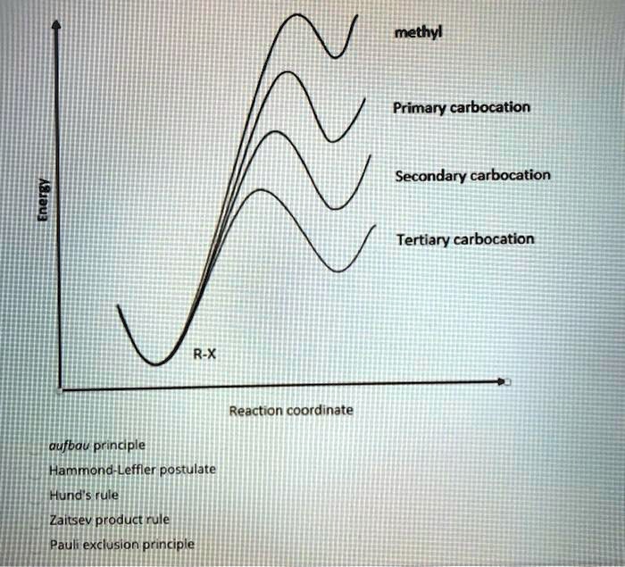 SOLVED:methyl Primary carbocation Secondary carbocation Tertiary ...