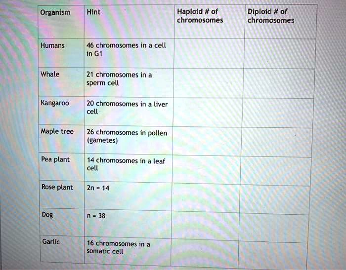 SOLVED Organism Hint Haploid of chromosomes Diploid of chromosomes