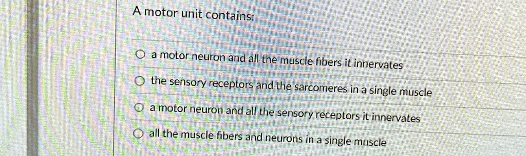 a motor unit contains a motor neuron and all the muscle fibers it ...