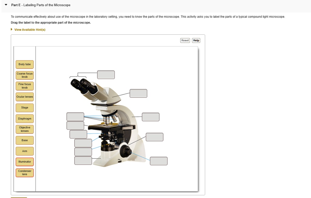 Part E - Labeling Parts of the Microscope To communicate effectively ...