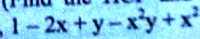 1 - 2x + y - xy + x^3