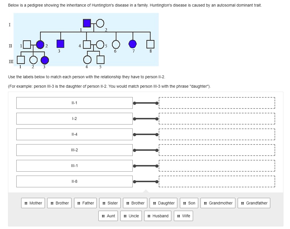 Below is a pedigree showing the inheritance of Huntington's disease in