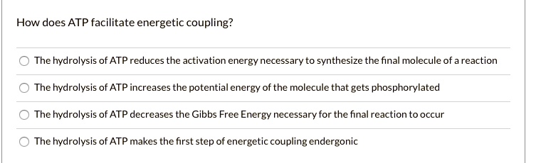 How does ATP facilitate energetic coupling?
The hydrolysis of ATP reduces the activation energy necessary to synthesize the final molecule of a reaction
The hydrolysis of ATP increases the potential energy of the molecule that gets phosphorylated
The hydrolysis of ATP decreases the Gibbs Free Energy necessary for the final reaction to occur
The hydrolysis of ATP makes the first step of energetic coupling endergonic