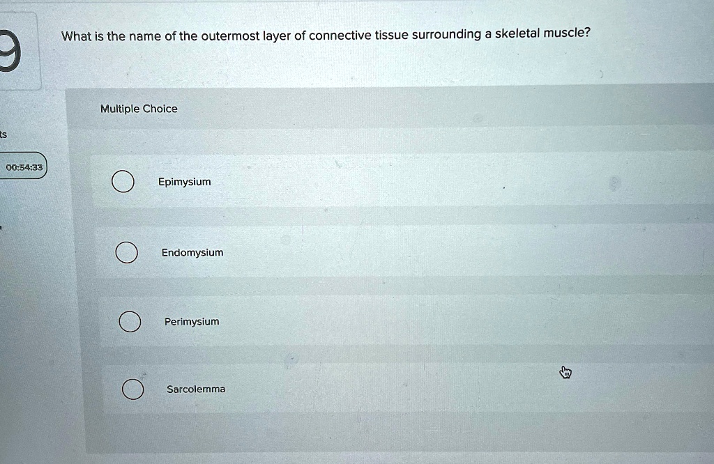 what is the name of the outermost layer of connective tissue surrounding a skeletal muscle multiple choice epimysium endomysium perimysium sarcolemma 78506