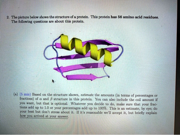 Prolein SOLVED: The picture below shows the structure of protein This protein ...