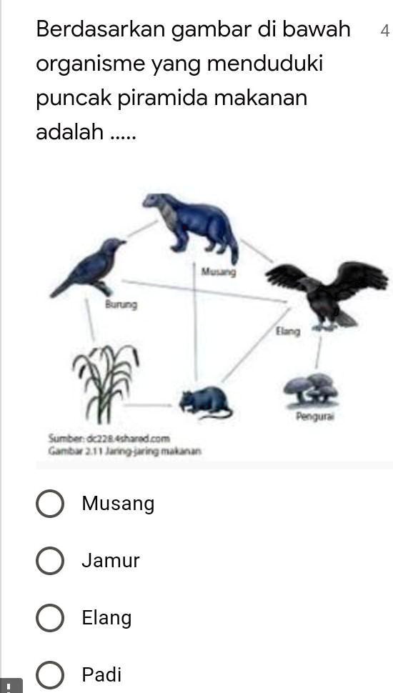 SOLVED: biologi tolong kak Berdasarkan gambar di bawah organisme yang ...