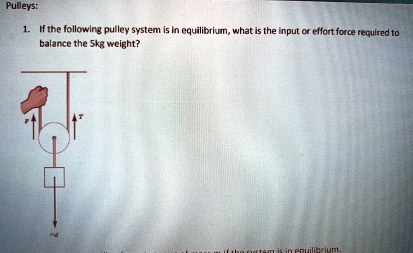 SOLVED Pulleys If the following pulley system is in equilibrium, what