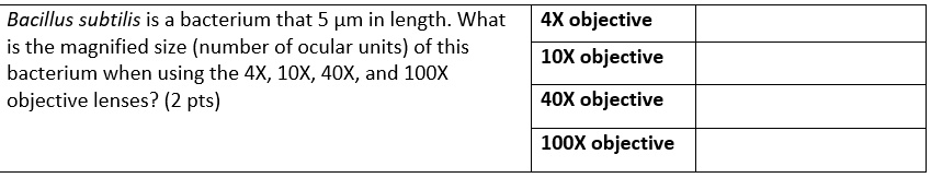 Bacillus subtilis is a bacterium that 5 µm in length. What is the magnified size (number of ocular units) of this bacterium when using the 4X, 10X, 40X, and 100X objective lenses? (2 pts)
4X objective
10X objective
40X objective
100X objective