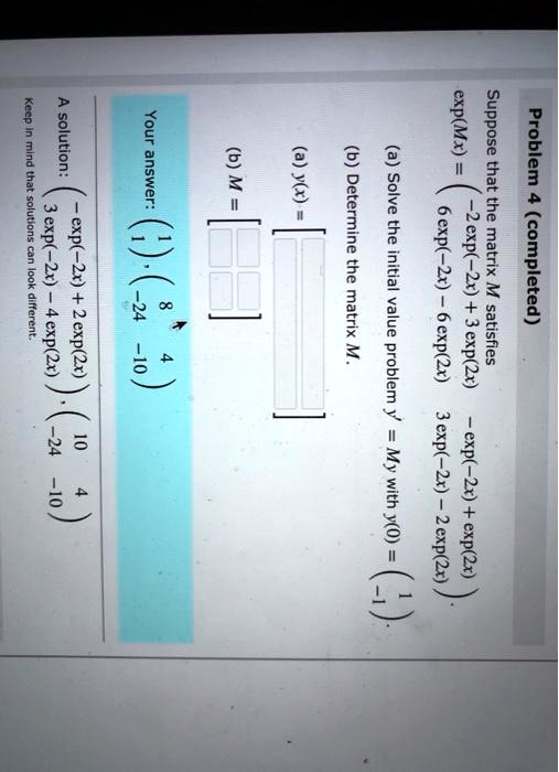 Solved Exp Mx Suppose B 9 A Problem A Y X Solve That Determine The The The Initial 57 Completed Matrix Value Ij Problem Y My 0 With Y O W Kecp Solution Your Mlnd Answer