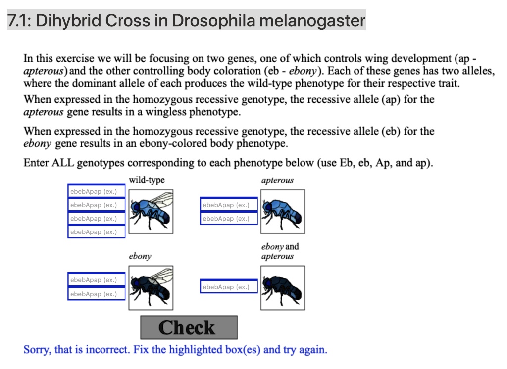 SOLVED:7.1: Dihybrid Cross In Drosophila Melanogaster In This Exercise ...