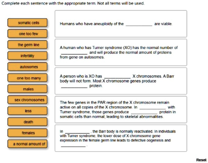 Complete each sentence with the appropriate term. Not all terms will be used. somatic cells one too few the germ line infertility autosomes one too many males sex chromosomes less death females a normal amount of Humans who have aneuploidy of the  are viable. A human who has Turner syndrome (XO) has the normal number of  and will produce the normal amount of proteins from gene on autosomes. A person who is XO has  X chromosomes. A Barr body will not form. Most X chromosome genes produce  protein. The few genes in the PAR region of the X chromosome remain active on all copies of the X chromosome. In  with Turner syndrome, those genes produce  protein in somatic cells than normal, leading to skeletal abnormalities. In , the Barr body is normally reactivated. In individuals with Turner syndrome, the lower dose of X chromosome gene expression in the female germ line leads to defective oogenesis and .