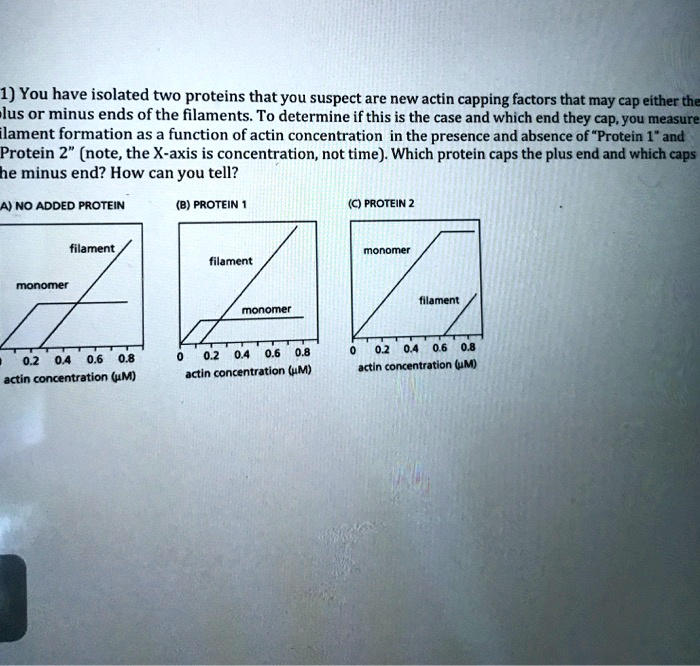 1) You have isolated two proteins that you suspect are new...