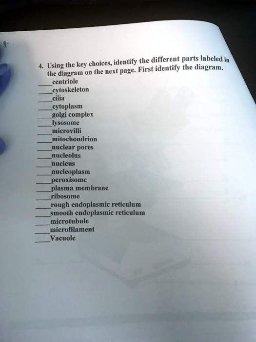 SOLVED: Identify the different parts labeled in the diagram. Using the ...