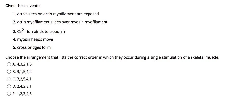 Given these events:
1. active sites on actin myofilament are exposed
2. actin myofilament slides over myosin myofilament
3. Ca2+ ion binds to troponin
4. myosin heads move
5. cross bridges form
Choose the arrangement that lists the correct order in which they occur during a single stimulation of a skeletal muscle.
A. 4,3,2,1,5
B. 3,1,5,4,2
C. 3,2,5,4,1
D. 2,4,3,5,1
E. 1,2,3,4,5