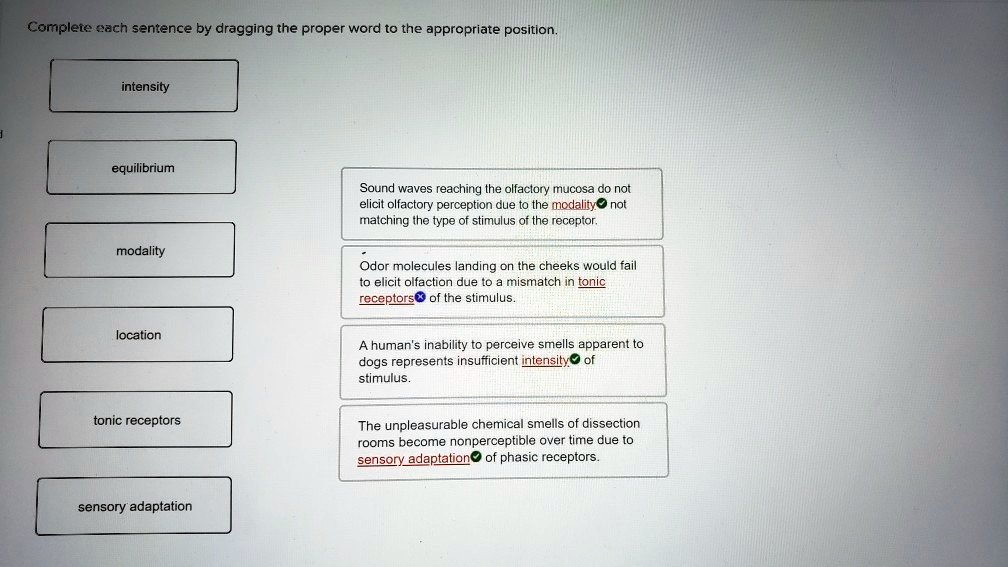 Complete each sentence by dragging the proper word to the appropriate position.

intensity
equilibrium
modality
location
tonic receptors
sensory adaptation

Sound waves reaching the olfactory mucosa do not elicit olfactory perception due to the modality not matching the type of stimulus of the receptor.
Odor molecules landing on the cheeks would fail to elicit olfaction due to a mismatch in tonic receptors of the stimulus.
A human's inability to perceive smells apparent to dogs represents insufficient intensity of stimulus.
The unpleasurable chemical smells of dissection rooms become nonperceptible over time due to sensory adaptation of phasic receptors.