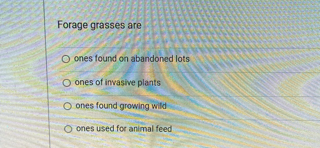 Forage grasses are
ones found on abandoned lots
ones of invasive plants
ones found growing wild
ones used for animal feed