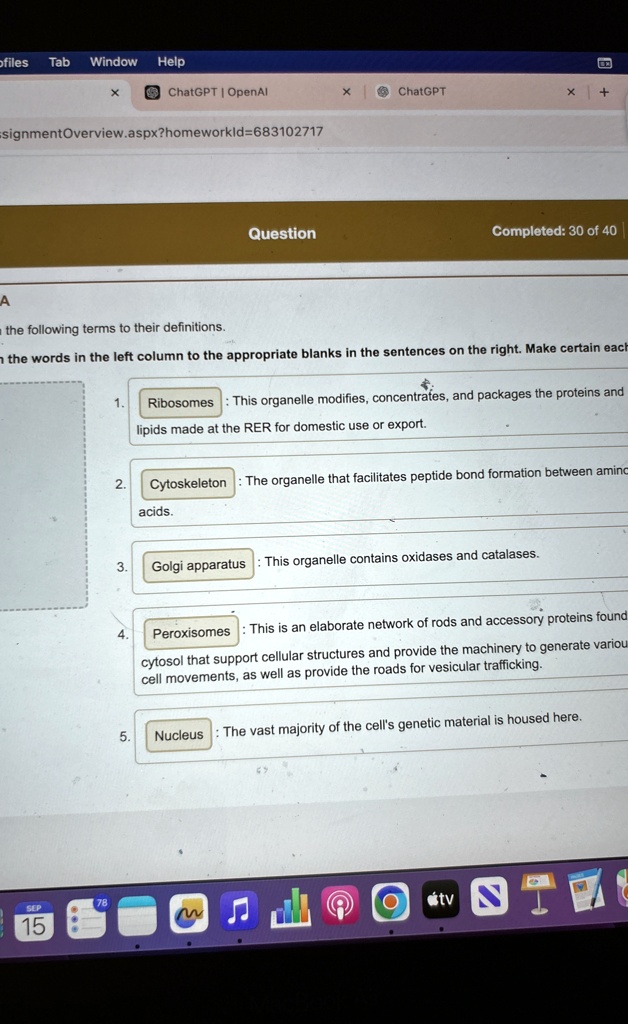 ribosomes this organelle modifies concentrafes and packages the ...