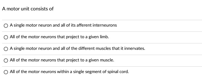 A motor unit consists of A single motor neuron and all of its afferent ...