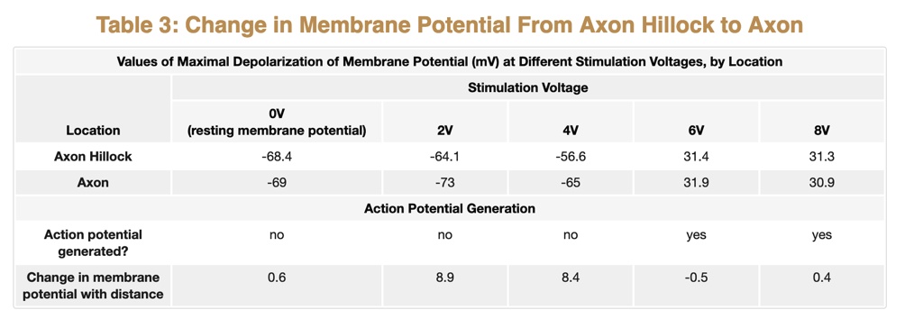 Table 3: Change in Membrane Potential From Axon Hillock to Axon
Values of Maximal Depolarization of Membrane Potential (mV) at Different Stimulation Voltages, by Location
Stimulation Voltage
OV (resting membrane potential) 2V 4V 6V 8V
Location
Axon Hillock -68.4 -64.1 -56.6 31.4 31.3
Axon -69 -73 -65 31.9 30.9
Action Potential Generation
Action potential generated? no no no yes yes
Change in membrane potential with distance 0.6 8.9 8.4 -0.5 0.4
