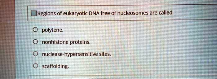 Regions of eukaryotic DNA free of nucleosomes are called
polytene.
nonhistone proteins.
nuclease-hypersensitive sites.
scaffolding.