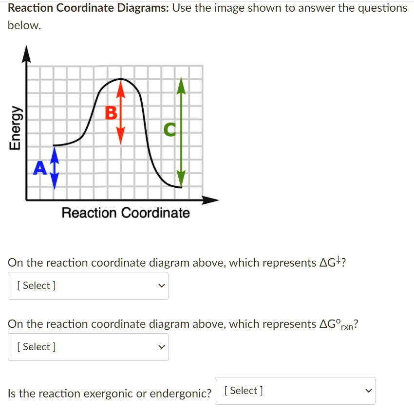 Solved Reaction Coordinate Diagrams Use The Image Shown To Answer The Questions Below B 1 Ai