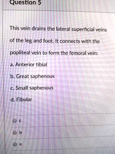 SOLVED: Question 5 This vein drains the lateral superficial veins of ...