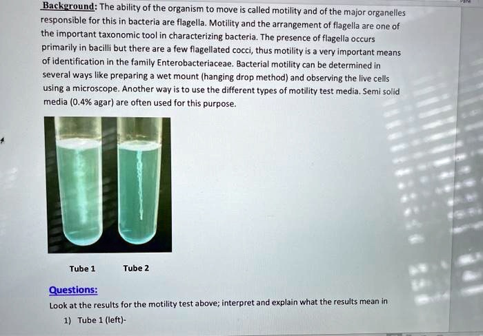 solved-backeround-the-ability-ofthe-organism-to-move-is-called