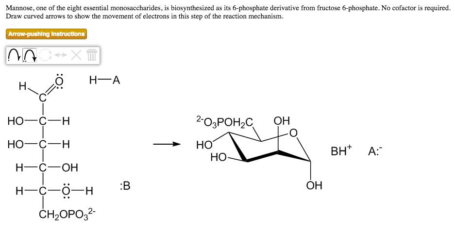 Mannose one of the eight essential monosaccharides is… - SolvedLib