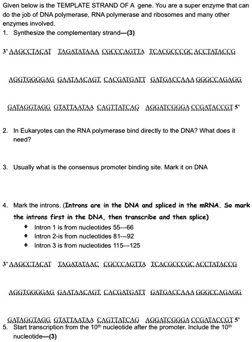 SOLVED: Given below is the TEMPLATE STRAND OF A gene. You are super ...