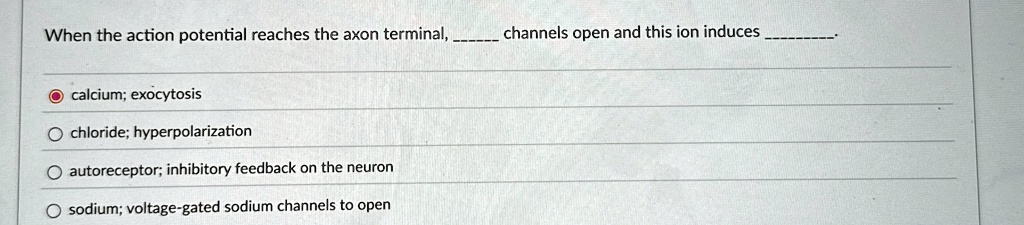 When the action potential reaches the axon terminal,  channels open and this ion induces .
calcium; exocytosis
chloride; hyperpolarization
autoreceptor; inhibitory feedback on the neuron
sodium; voltage-gated sodium channels to open