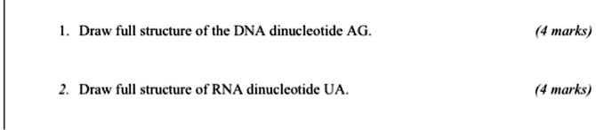 SOLVED: Draw full structure of the DNA dinucleotide AG marks) Draw full ...
