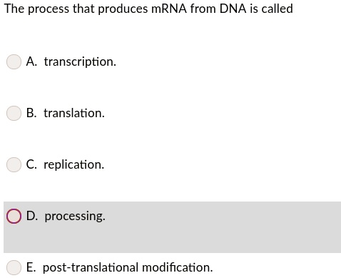 SOLVED: The process that produces mRNA from DNA is called transcription