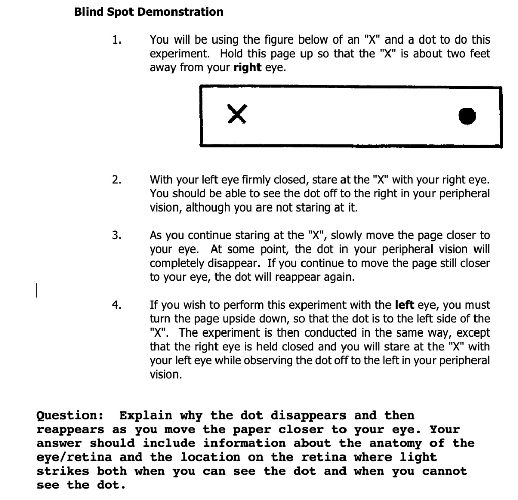 blind spot eye experiment