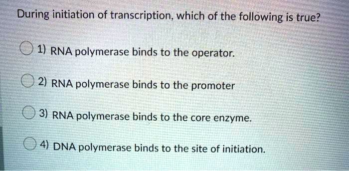 During initiation of transcription, which of the following is true?
1) RNA polymerase binds to the operator.
2) RNA polymerase binds to the promoter
3) RNA polymerase binds to the core enzyme.
4) DNA polymerase binds to the site of initiation.