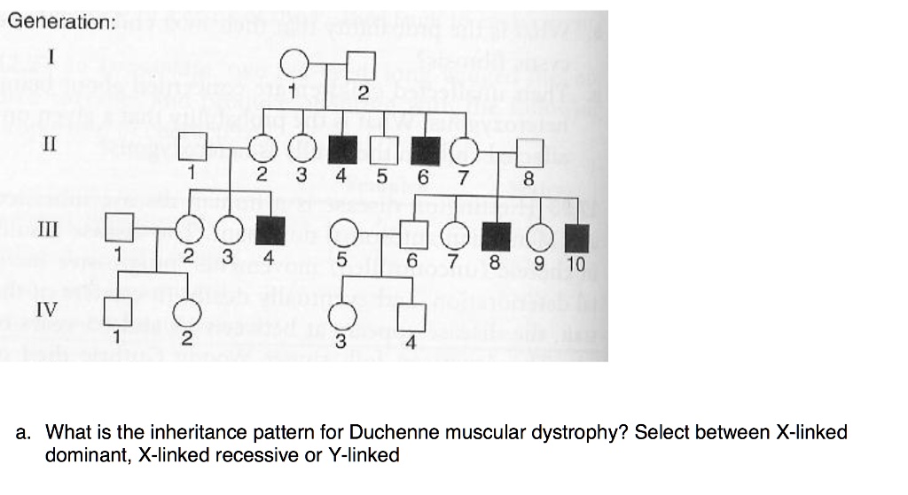 SOLVED Generation 10 What is the inheritance pattern for Duchenne