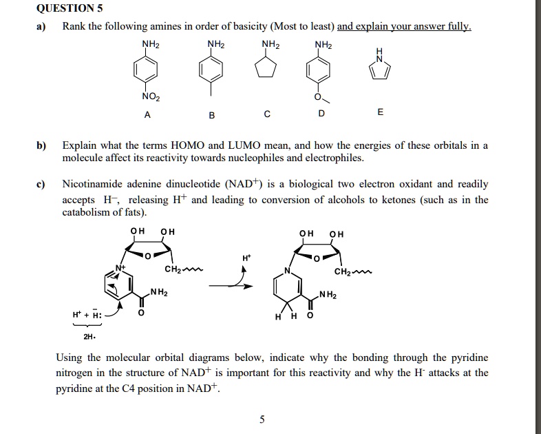 solved-question-5-rank-the-following-amines-in-order-of-basicity-most