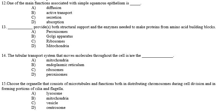 12.One of the main functions associated with simple squamous epithelium is 
A) diffusion
B) active transport
C) secretion
D) absorption
13.  provide(s) both structural support and the enzymes needed to make proteins from amino acid building blocks.
A) Peroxisomes
B) Golgi apparatus
C) Ribosomes
D) Mitochondria
14. The tubular transport system that moves molecules throughout the cell is/are the 
A) mitochondria
B) endoplasmic reticulum
C) ribosomes
D) peroxisomes
15. Choose the organelle that consists of microtubules and functions both in distributing chromosomes during cell division and in forming portions of cilia and flagella.
A) lysosome
B) mitochondria
C) vesicle
D) centrosome