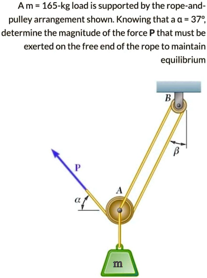 An 165kg load is supported by the ropeandpulley arrangement shown
