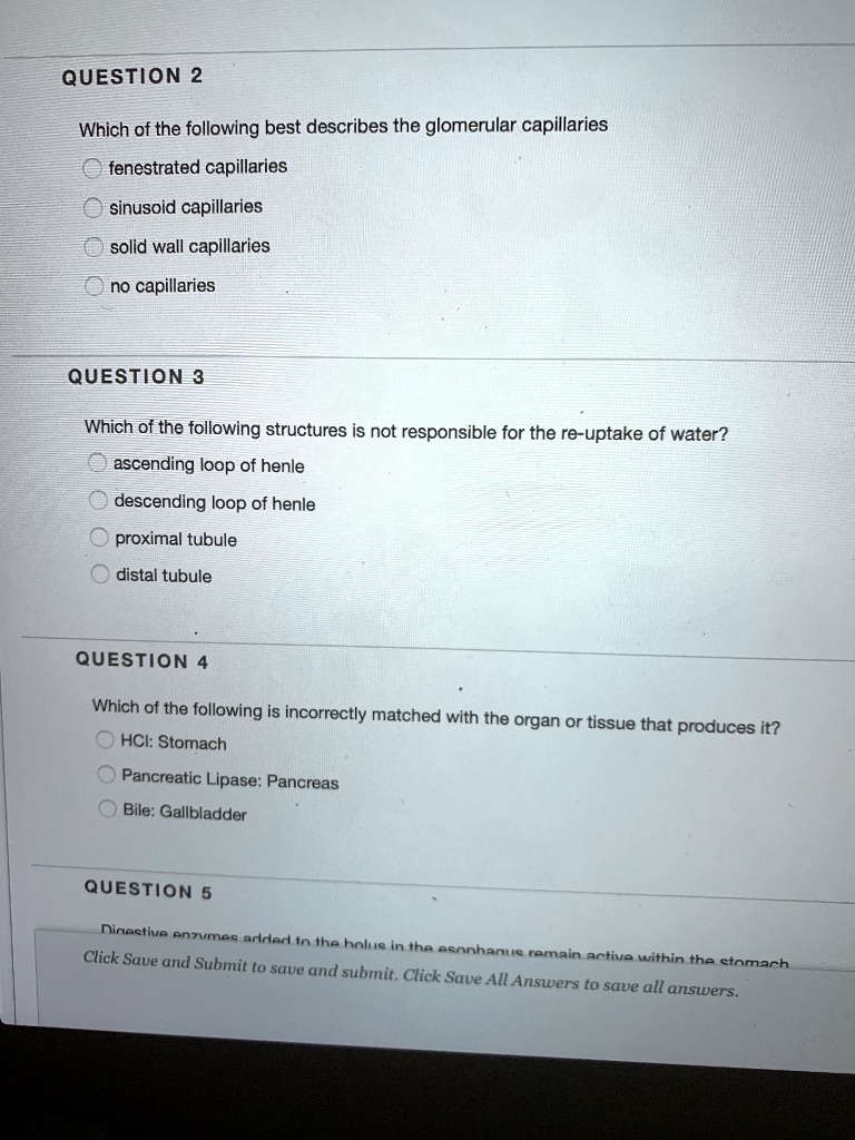 QUESTION 2
Which of the following best describes the glomerular capillaries
fenestrated capillaries
sinusoid capillaries
solid wall capillaries
no capillaries

QUESTION 3
Which of the following structures is not responsible for the re-uptake of water?
ascending loop of henle
descending loop of henle
proximal tubule
distal tubule

QUESTION 4
Which of the following is incorrectly matched with the organ or tissue that produces it?
HCI: Stomach
Pancreatic Lipase: Pancreas
Bile: Gallbladder

QUESTION 5
Digestive enzymes added to the holus in the esophagus remain active within the stomach