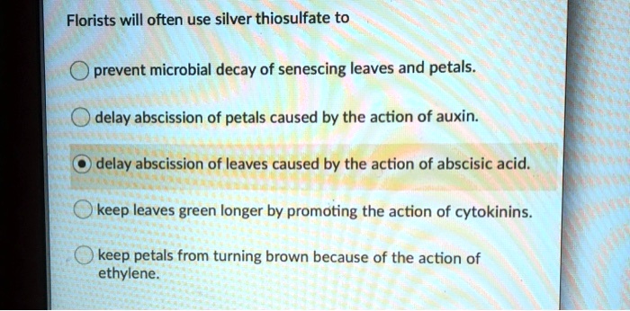 Florists will often use silver thiosulfate to
prevent microbial decay of senescing leaves and petals.
delay abscission of petals caused by the action of auxin.
delay abscission of leaves caused by the action of abscisic acid.
keep leaves green longer by promoting the action of cytokinins.
keep petals from turning brown because of the action of
ethylene.