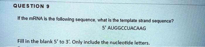 SOLVED: Question 9 If the mRNA is the following sequence, what is the ...