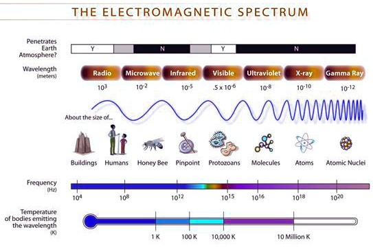 SOLVED: Examine the diagram of the electromagnetic spectrum below ...