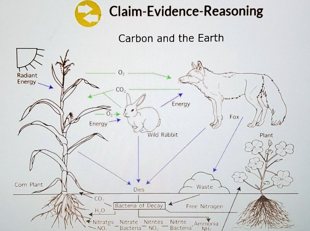 Claim-Evidence-Reasoning
Carbon and the Earth
Radiant Energy
O2
CO2
O2
Energy
Energy
Fox
Wild Rabbit
Corn Plant
Waste
Dies
CO2
Bacteria of Decay
Free Nitrogen
H2O
Nitrates Nitrate Nitrites
NO3 Bacteria NO2 Bacteria Ammonia
NH3
Plant