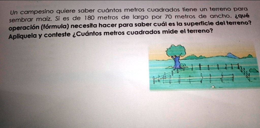 SOLVED: Un campesino quiere saber cuántos metros cuadrados tiene un